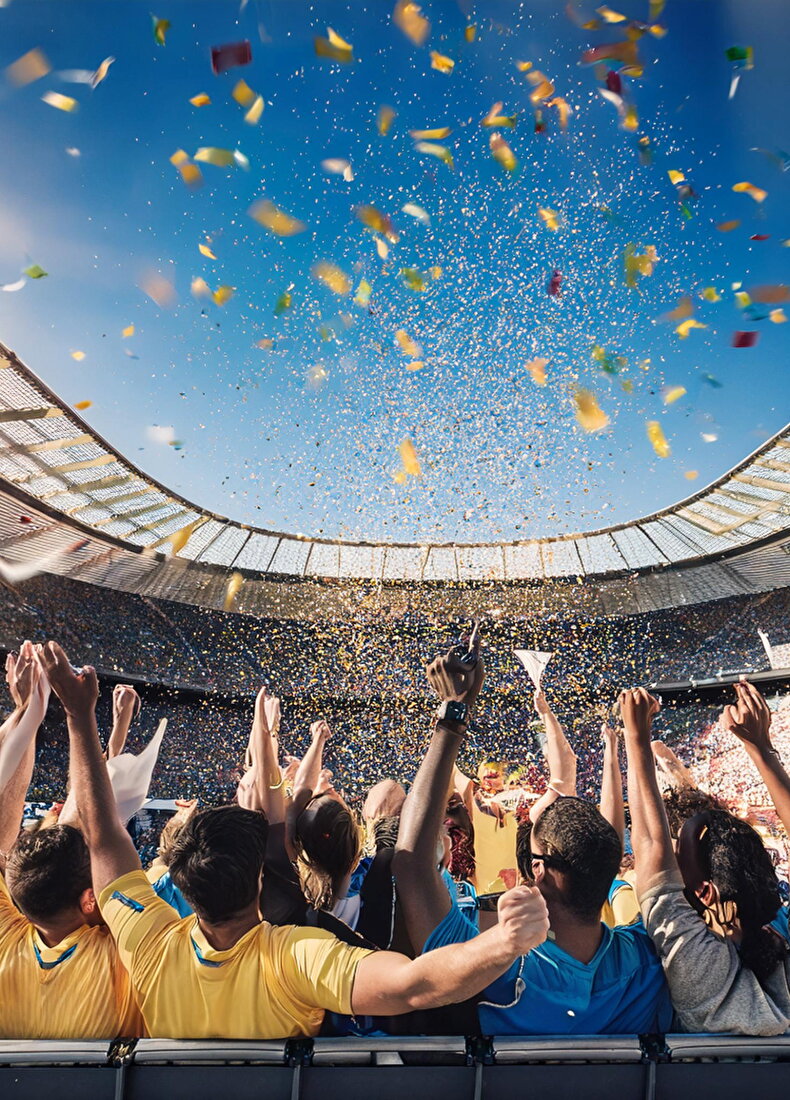 Stadium Football Fans